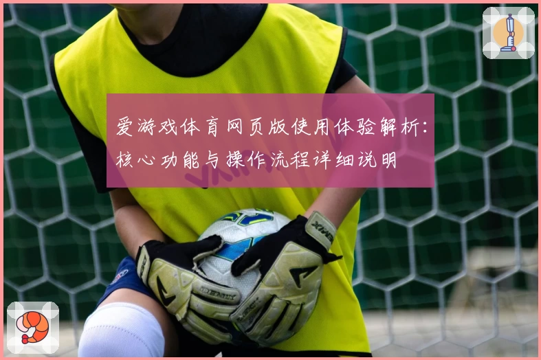 爱游戏体育网页版使用体验解析：核心功能与操作流程详细说明